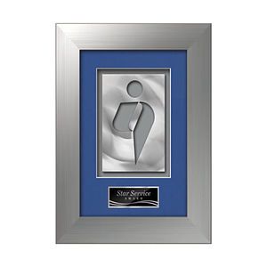 Premier Aquashape Award - Silver