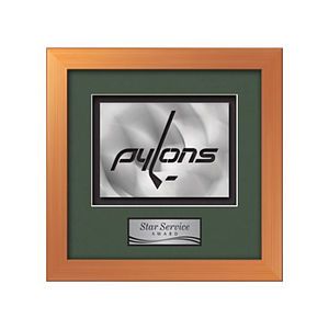 Eldridge Aquashape Award - Bronze