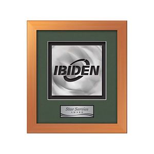 Eldridge Aquashape Award - Bronze