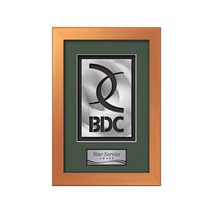 Eldridge Aquashape Award - Bronze