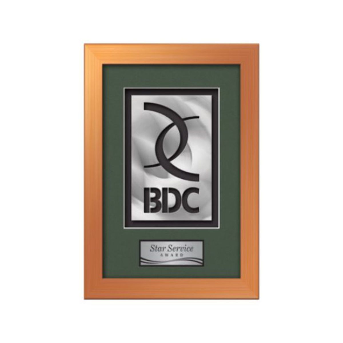 Eldridge Aquashape Award - Bronze