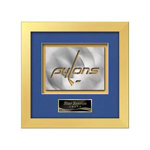 Eldridge Aquashape Award - Gold