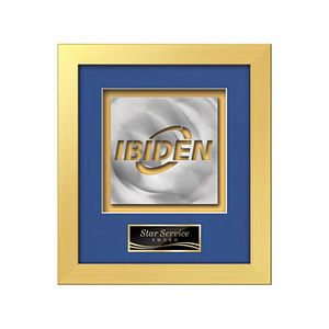 Eldridge Aquashape Award - Gold