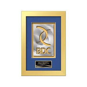 Eldridge Aquashape Award - Gold