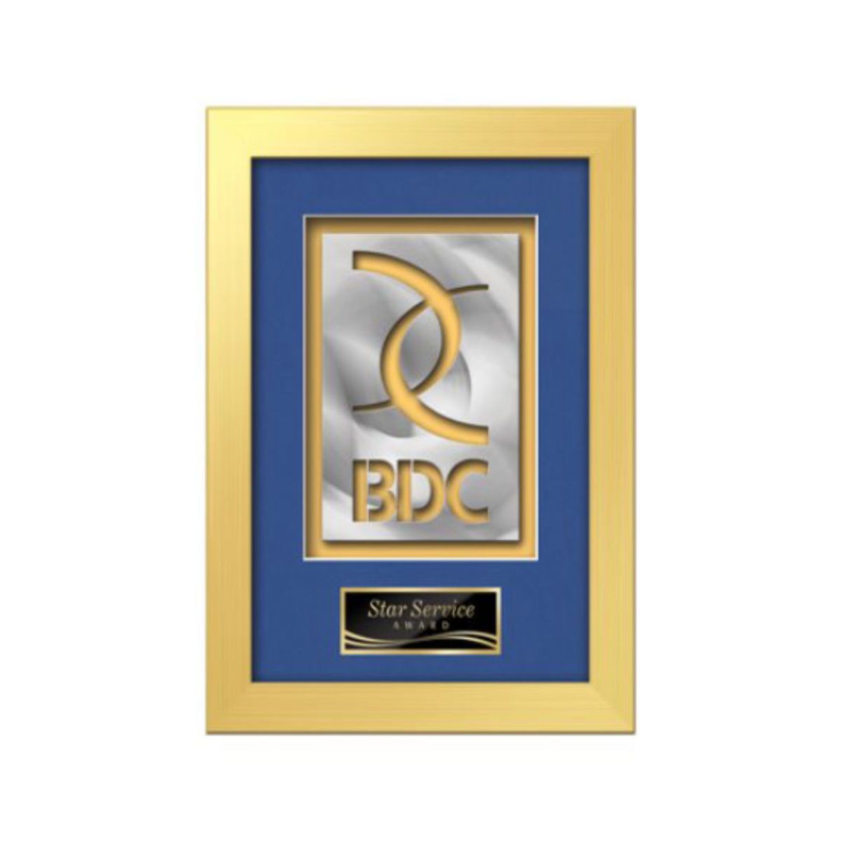 Eldridge Aquashape Award - Gold