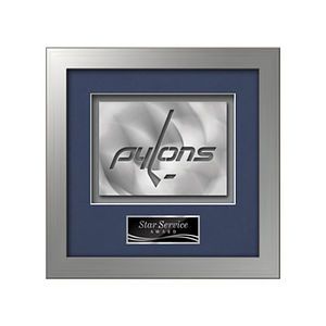 Eldridge Aquashape Award - Silver