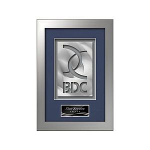 Eldridge Aquashape Award - Silver
