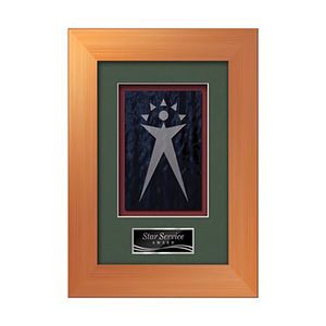 Premier -  Bronze
