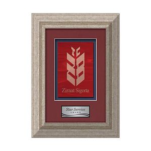 Terrene -  Antique Silver