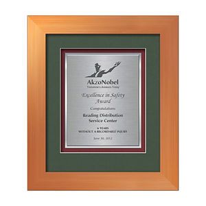 Premier Certificate TexEtch - Bronze
