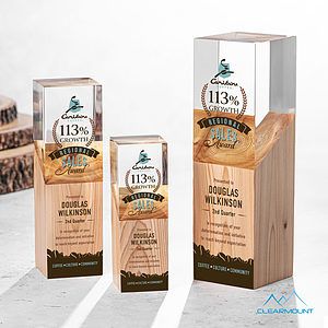 Coteau VividPrint™ Award