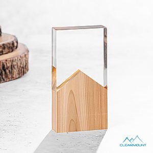 Montagnes VividPrint™ Award