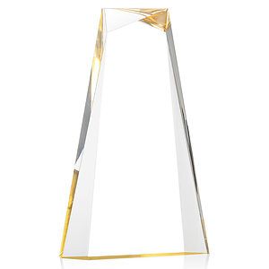 Tyneside Award - Gold