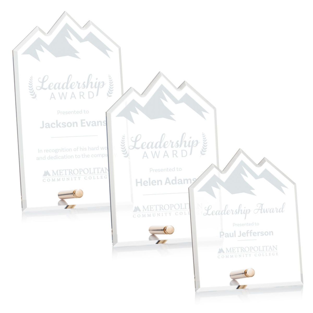 Polaris Summit Award - Gold