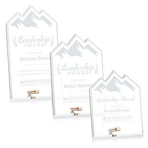 Polaris Summit Award - Gold