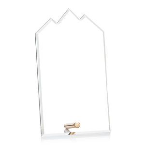 Polaris Summit Award - Gold
