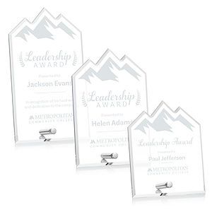 Polaris Summit Award - Silver