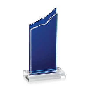 Barron VividPrint™ Award