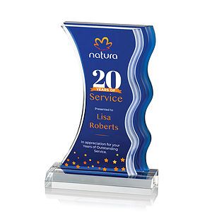 Nolan VividPrint™ Award