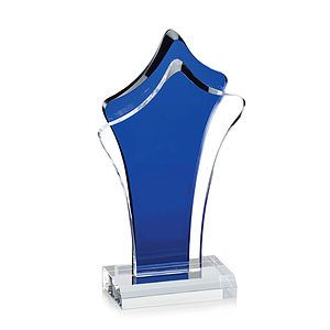 Tonga VividPrint™ Award