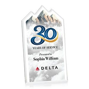 Polaris Summit VividPrint™ Award - Silver