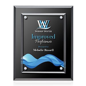 Lexicon VividPrint Plaque - Silver