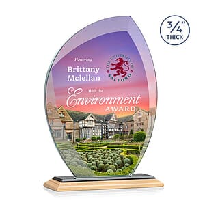 Wichita VividPrint™ Award - Bamboo/Black
