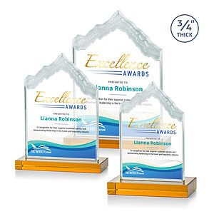 McKinley VividPrint™ Award - Amber