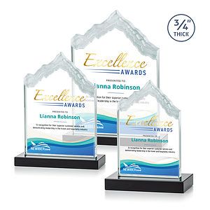 McKinley VividPrint™ Award - Black