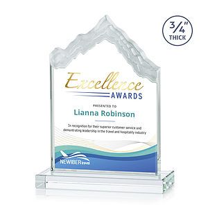 McKinley VividPrint™ Award - Starfire