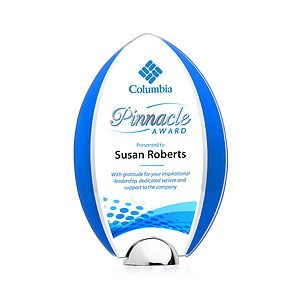 Lincoln VividPrint™ Award - Blue