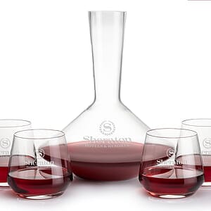 Tucson Carafe & Stemless Wine Set