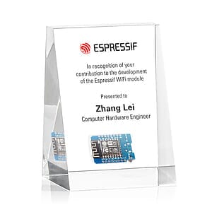 Embedment - Upright Wedge Award