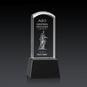 Silkwood 3D Award on Base - Black