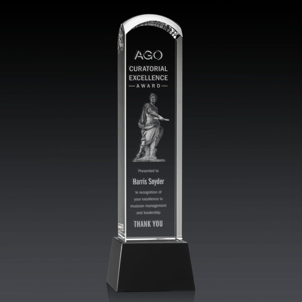 Silkwood 3D Award on Base - Black