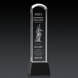 Silkwood 3D Award on Base - Black