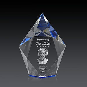 Devron 3D Award - Blue