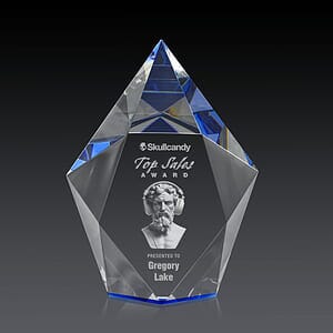 Devron 3D Award - Blue