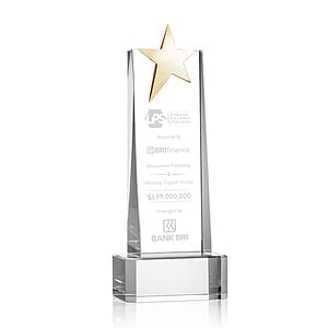 Fanshaw Gold Star Award on Base - Clear