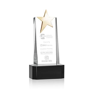 Fanshaw Gold Star Award on Base - Black