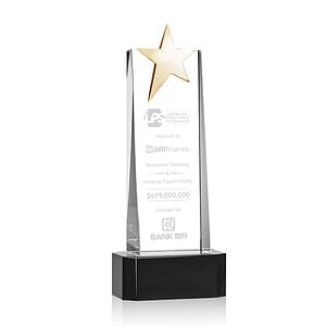 Fanshaw Gold Star Award on Base - Black