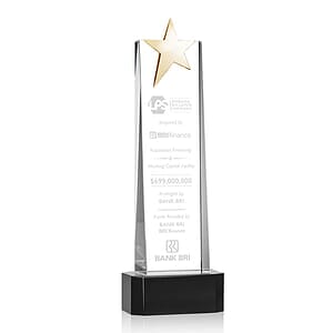 Fanshaw Gold Star Award on Base - Black