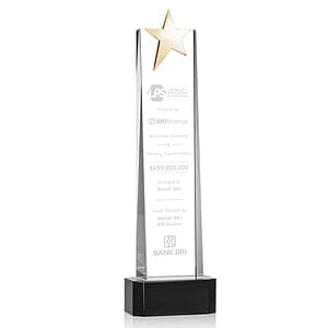 Fanshaw Gold Star Award on Base - Black