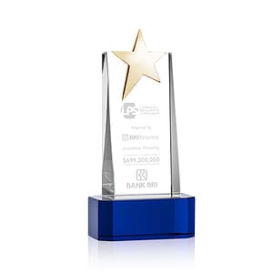 Fanshaw Gold Star Award on Base - Blue