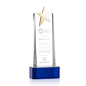 Fanshaw Gold Star Award on Base - Blue