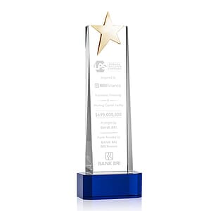 Fanshaw Gold Star Award on Base - Blue