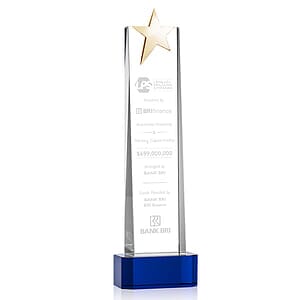 Fanshaw Gold Star Award on Base - Blue