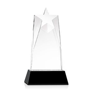 Millington Star VividPrint™ Award on Base - Black