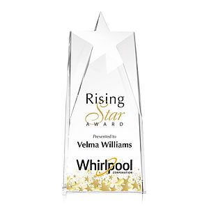 Millington Star VividPrint™ Award