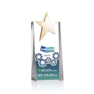 Fanshaw Gold Star VividPrint™ Award